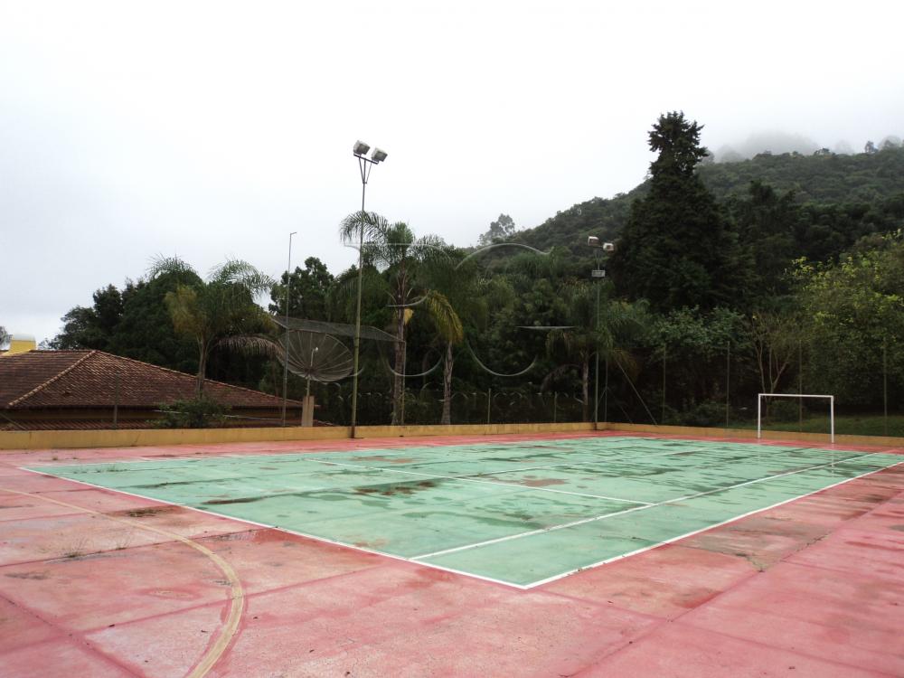 Casa à venda com 7 quartos, 1000m² - Foto 9