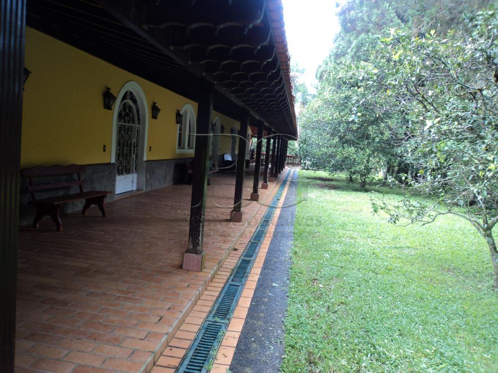 Casa à venda com 7 quartos, 1000m² - Foto 11