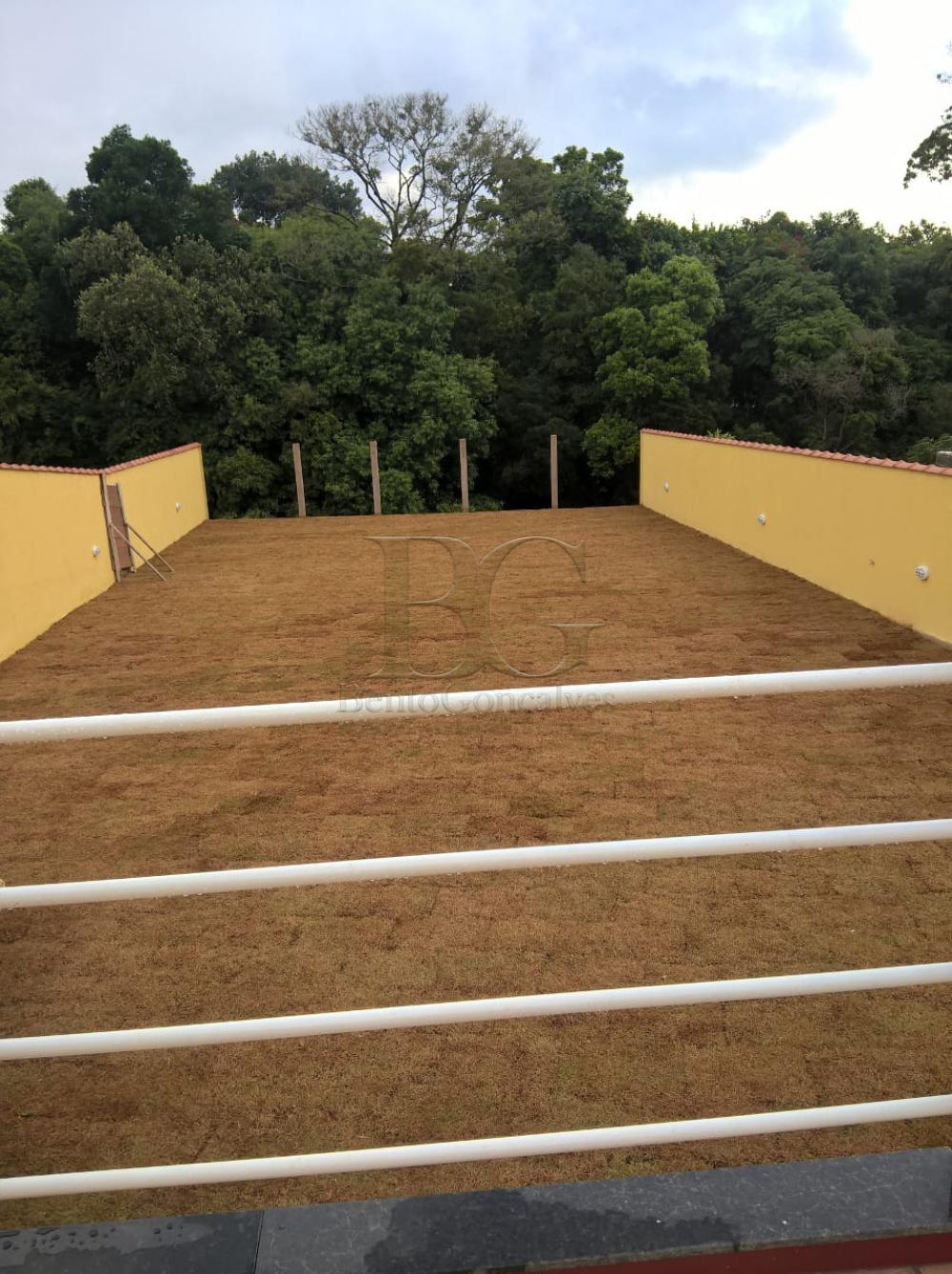Comprar Rurais / Chácara em Laranjeiras de Caldas apenas R$ 280.000,00 - Foto 5 Comprar Rurais / Chácara em Laranjeiras de Caldas apenas R$ 280.000,00 - Foto 5