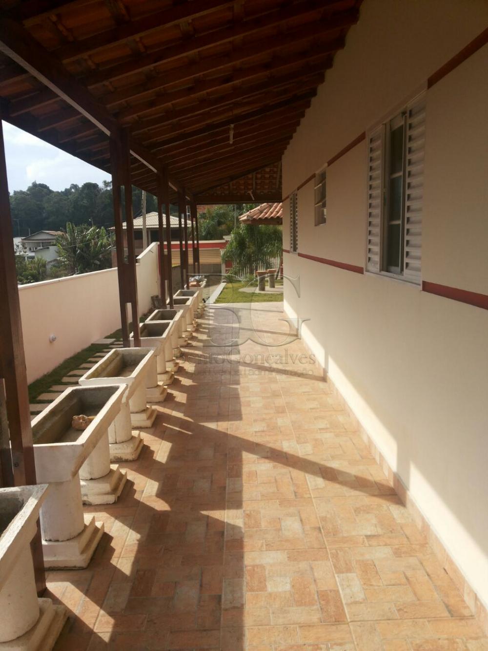 Comprar Rurais / Chácara em Laranjeiras de Caldas apenas R$ 280.000,00 - Foto 10 Comprar Rurais / Chácara em Laranjeiras de Caldas apenas R$ 280.000,00 - Foto 10
