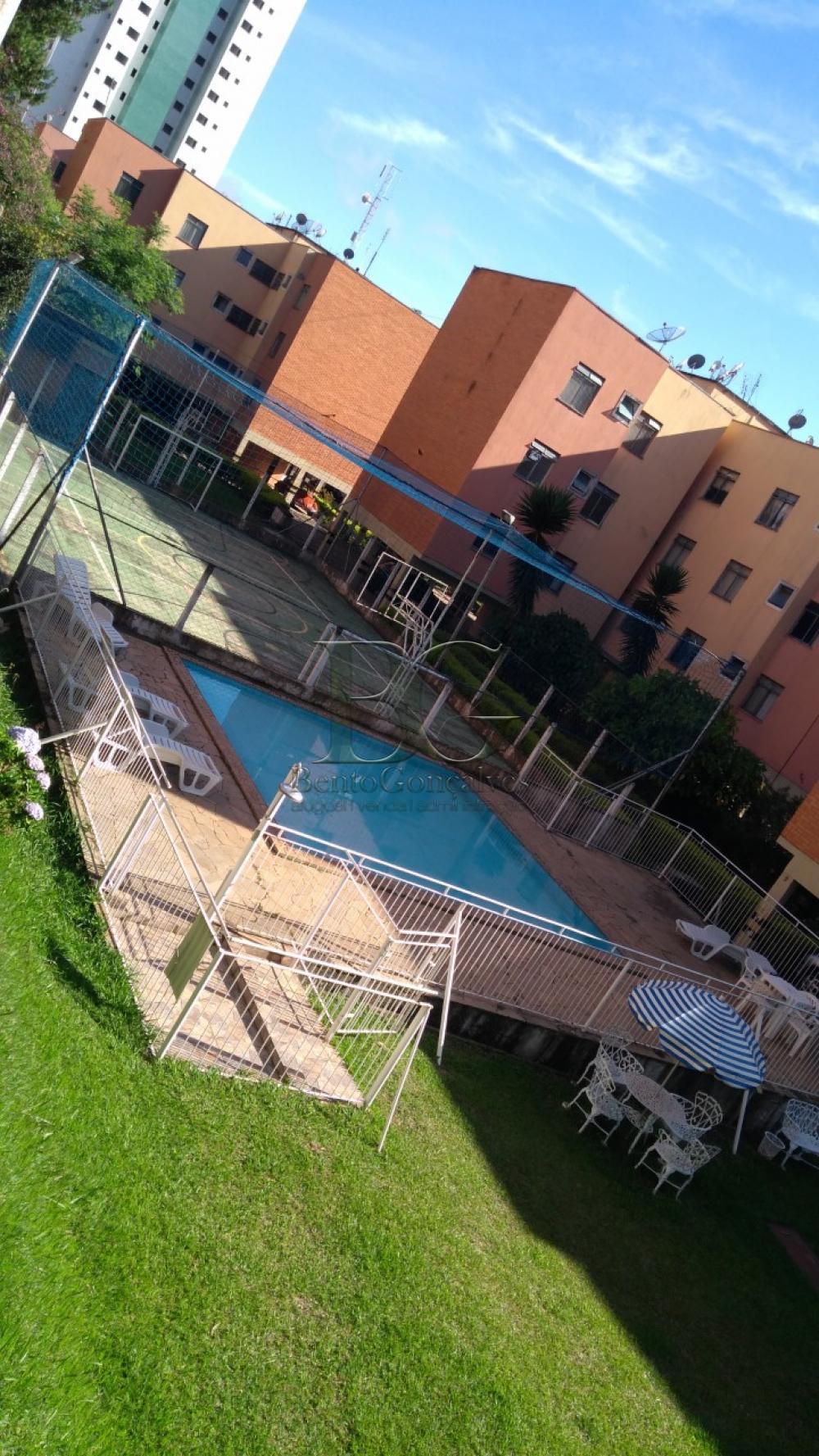 Alugar Apartamentos / Padrão em Poços de Caldas apenas R$ 650,00 - Foto 10 Alugar Apartamentos / Padrão em Poços de Caldas apenas R$ 650,00 - Foto 10