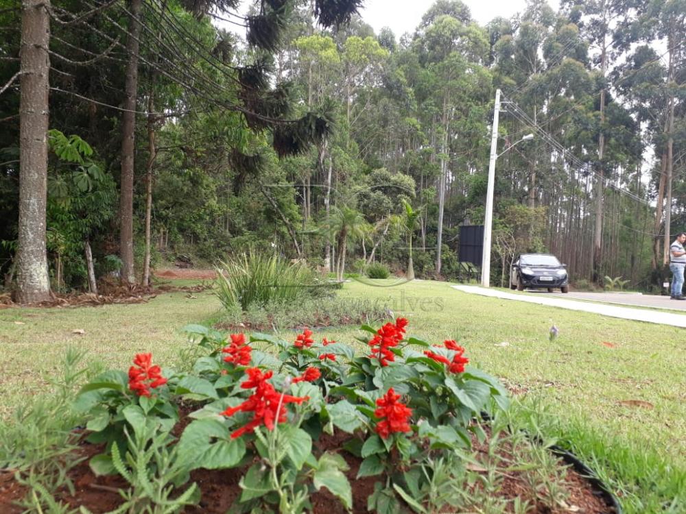 Comprar Terrenos / Loteamento em Poços de Caldas apenas R$ 60.000,00 - Foto 9 Comprar Terrenos / Loteamento em Poços de Caldas apenas R$ 60.000,00 - Foto 9