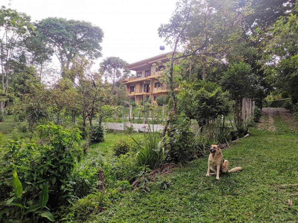 Casa à venda com 3 quartos, 709m² - Foto 20