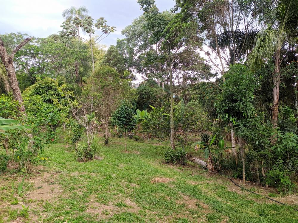 Casa à venda com 3 quartos, 709m² - Foto 21