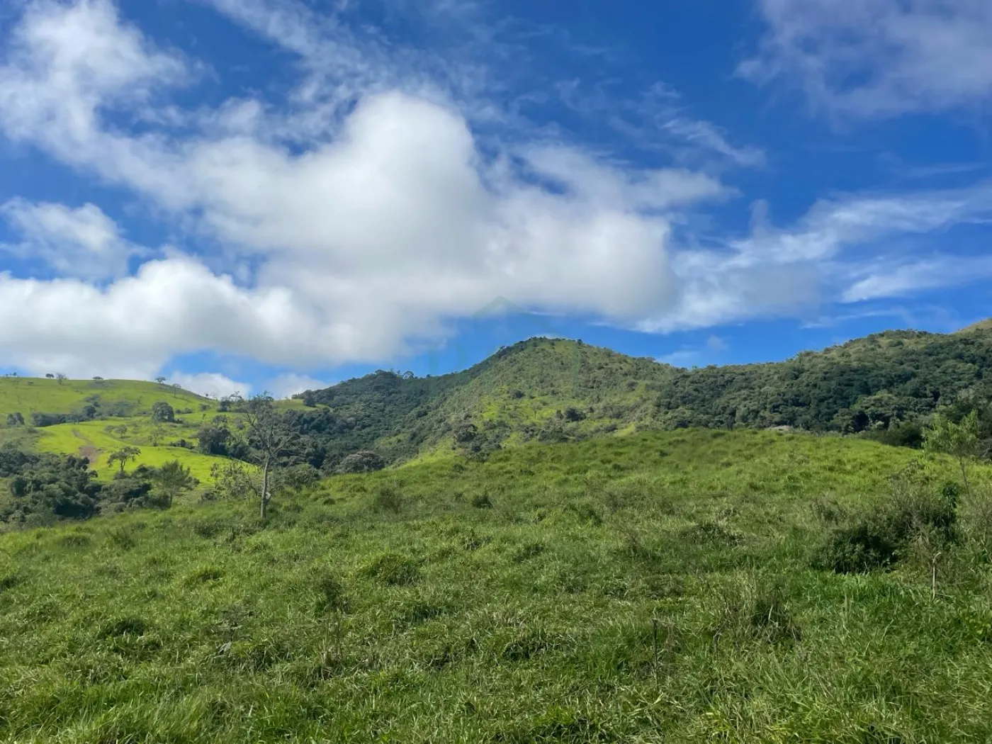 Fazenda à venda, 3630000m² - Foto 1