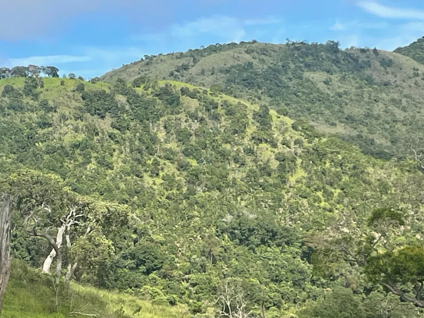 Fazenda à venda, 3630000m² - Foto 6