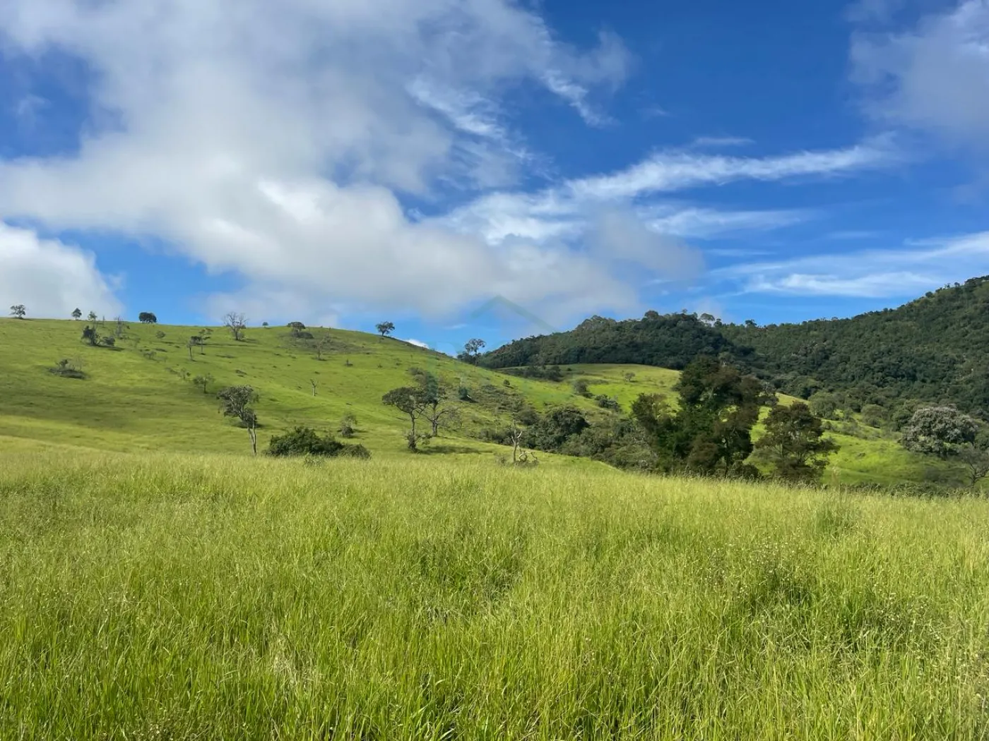 Fazenda à venda, 3630000m² - Foto 4