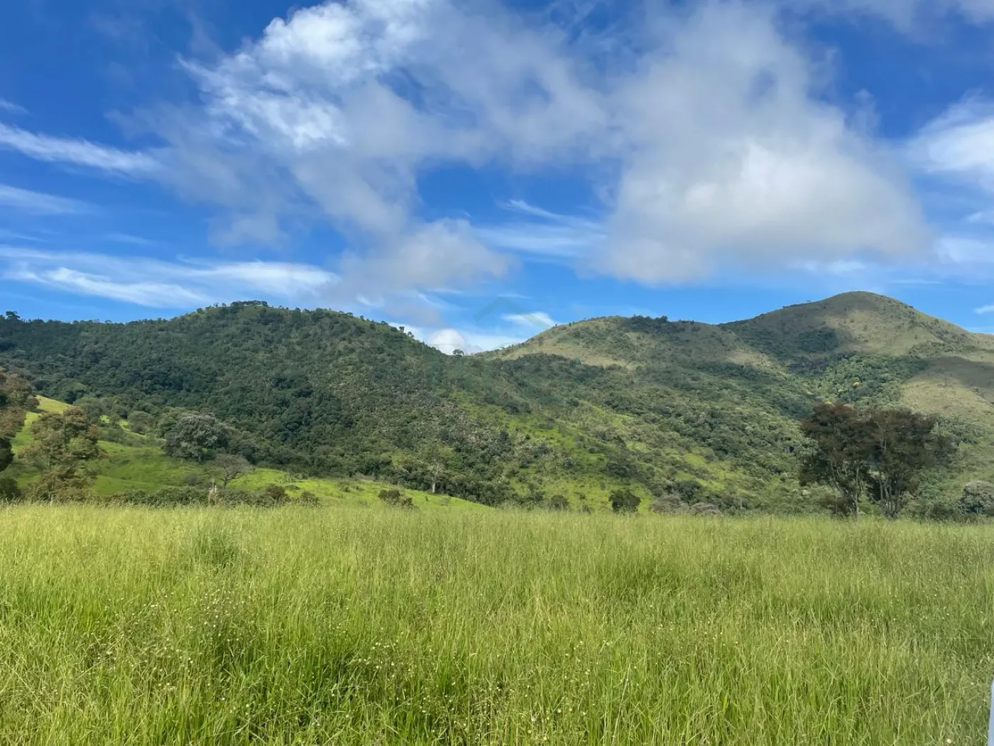 Fazenda à venda, 3630000m² - Foto 5