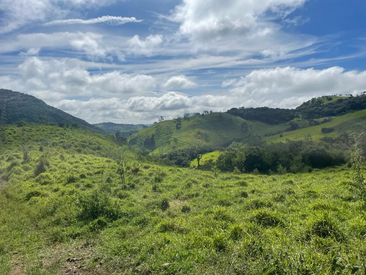 Fazenda à venda, 3630000m² - Foto 7