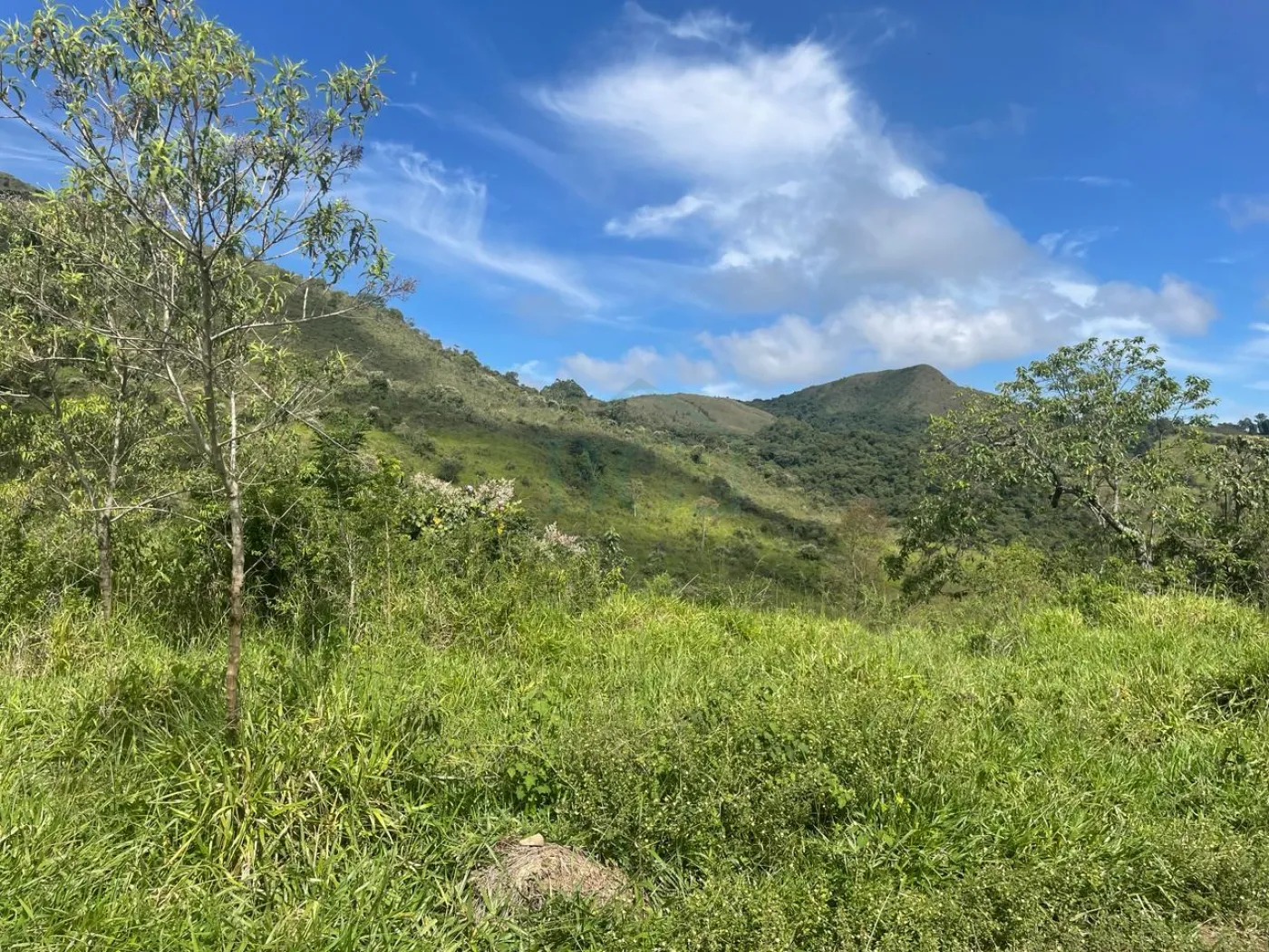 Fazenda à venda, 3630000m² - Foto 8