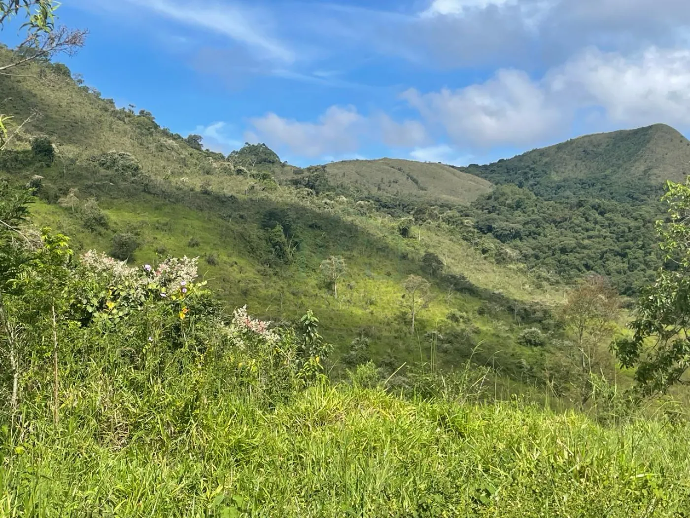 Fazenda à venda, 3630000m² - Foto 9