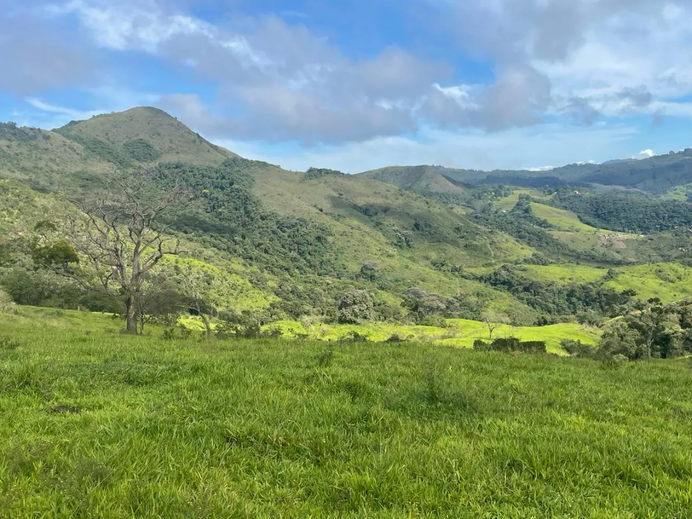 Fazenda à venda, 3630000m² - Foto 10