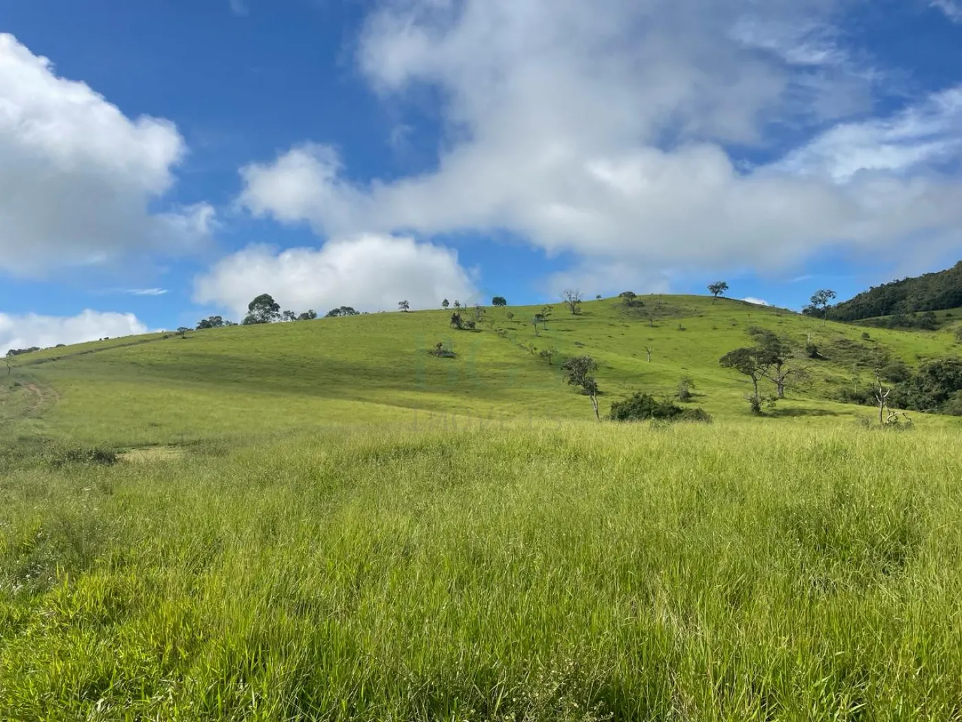 Fazenda à venda, 3630000m² - Foto 11