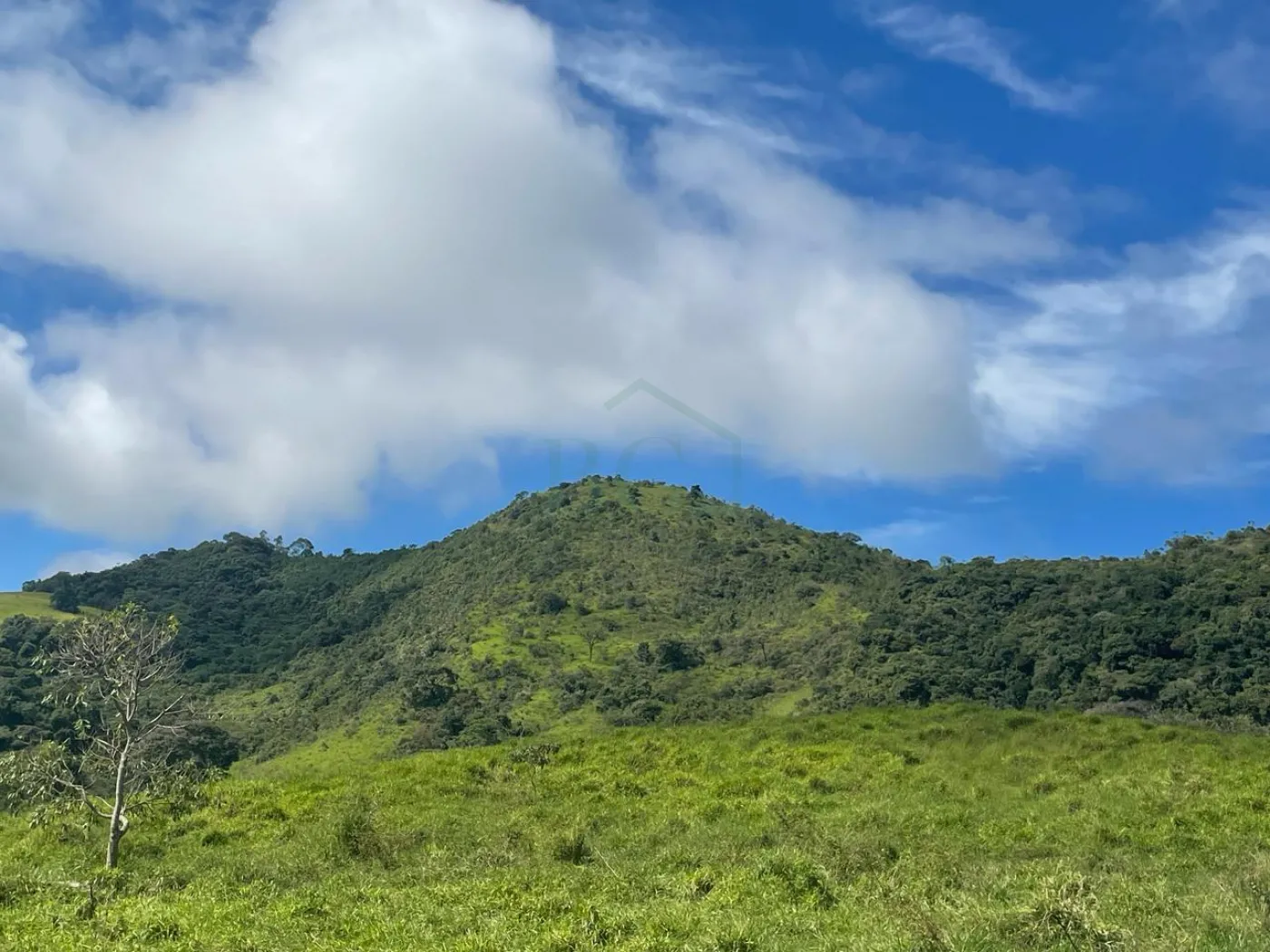 Fazenda à venda, 3630000m² - Foto 14