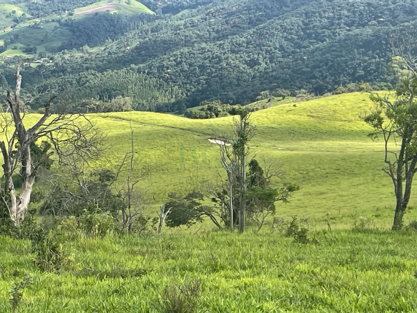 Fazenda à venda, 3630000m² - Foto 15