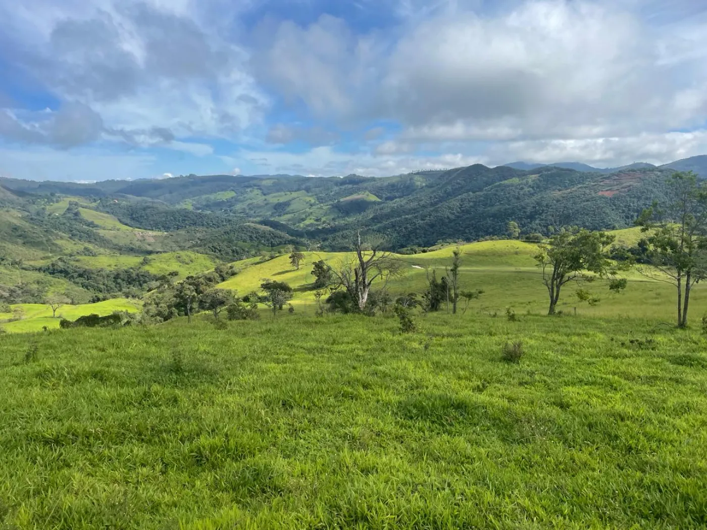 Fazenda à venda, 3630000m² - Foto 16