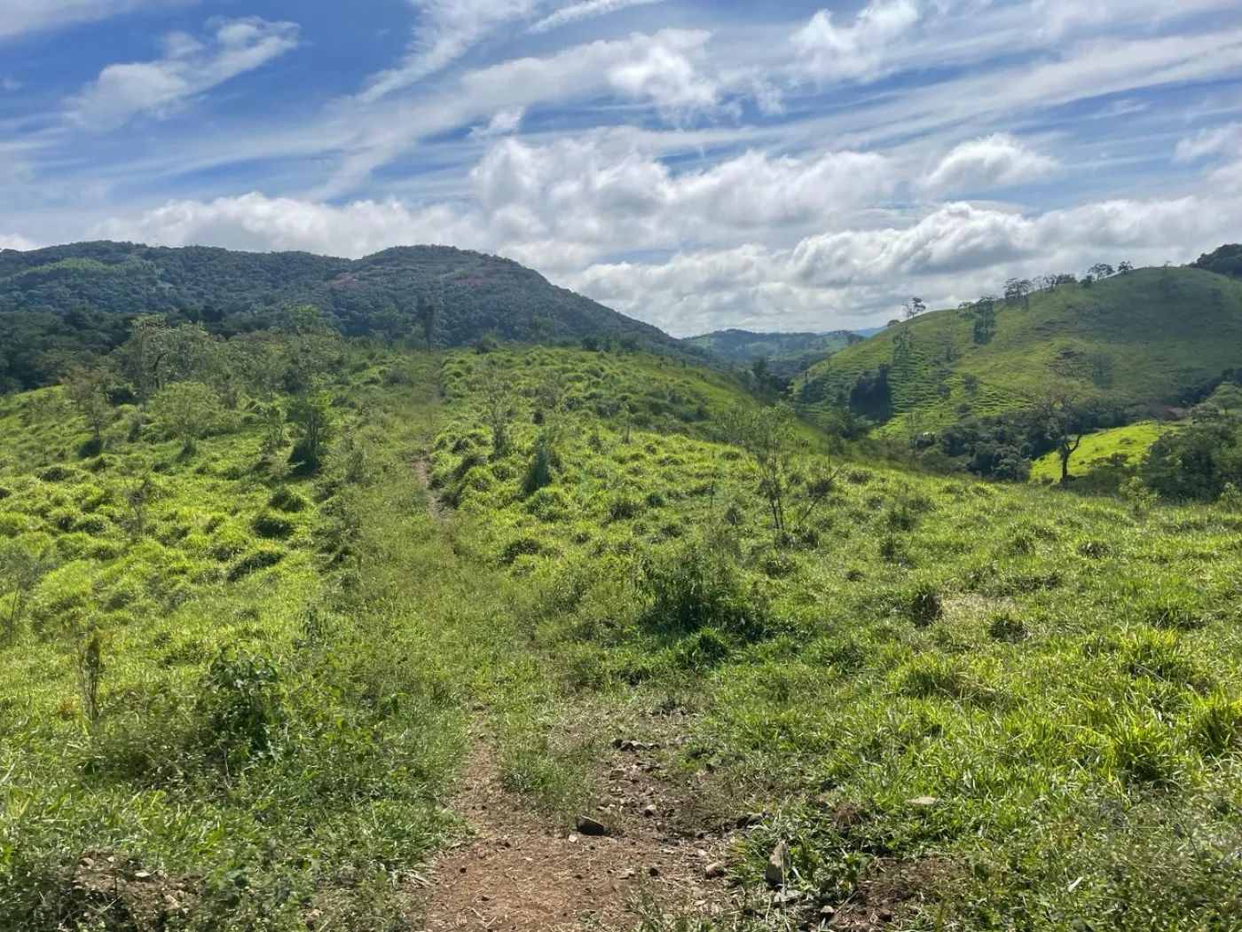 Fazenda à venda, 3630000m² - Foto 17