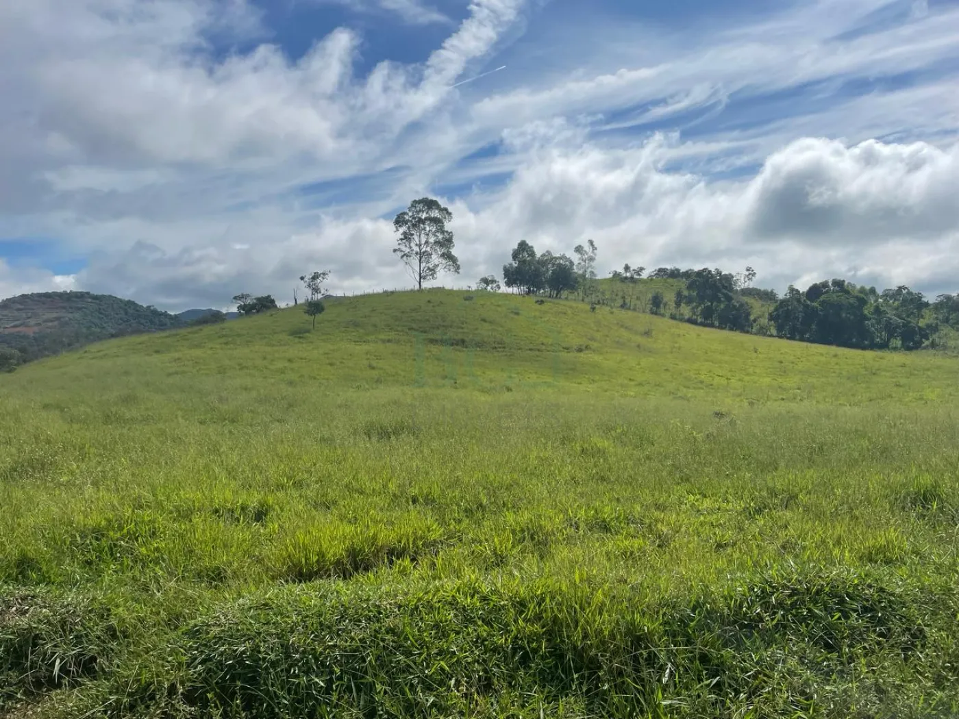 Fazenda à venda, 3630000m² - Foto 18