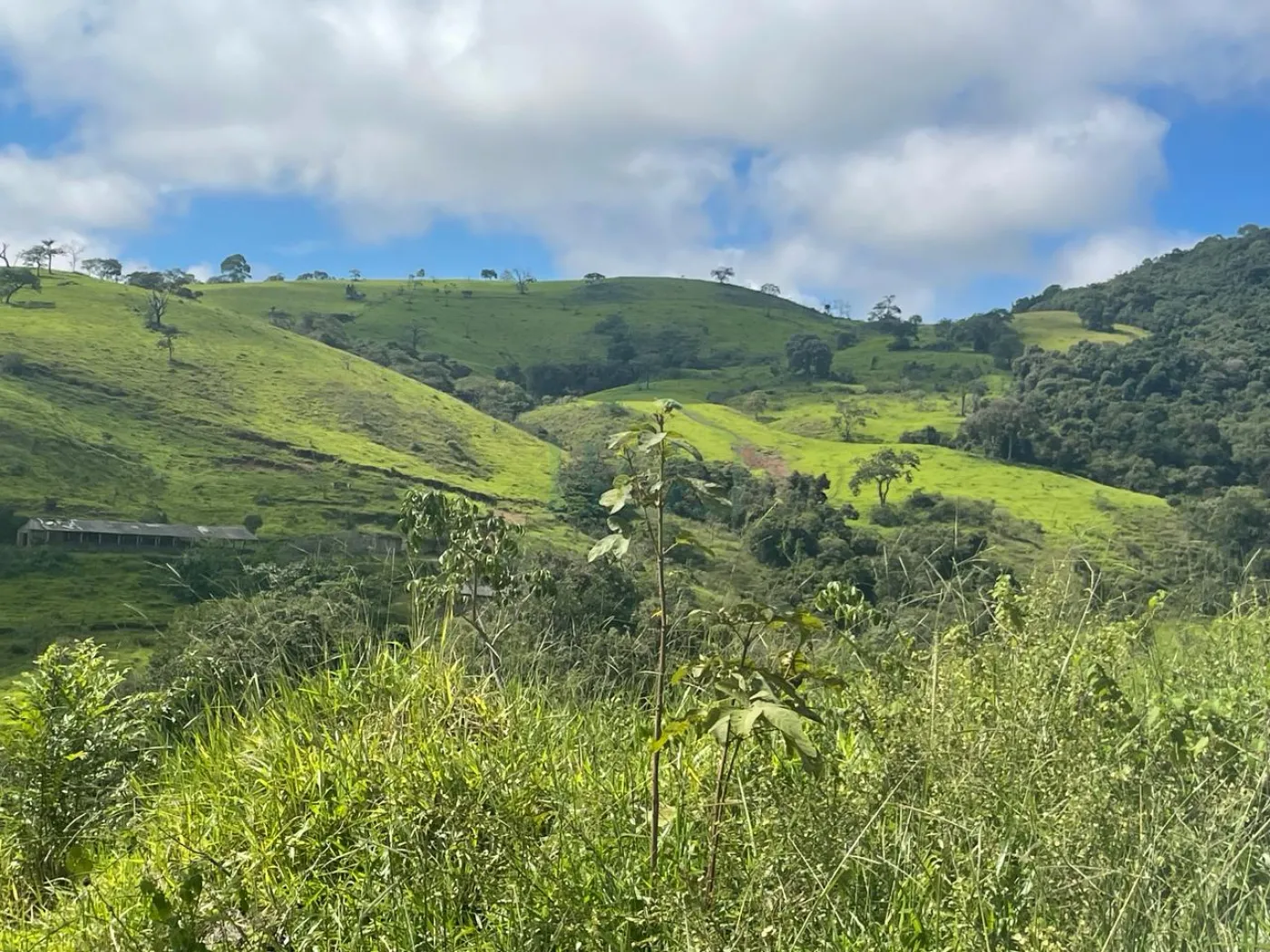Fazenda à venda, 3630000m² - Foto 19