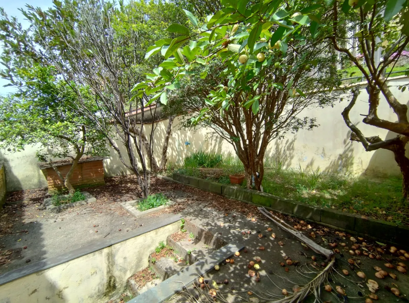 Casa à venda com 4 quartos, 231m² - Foto 22