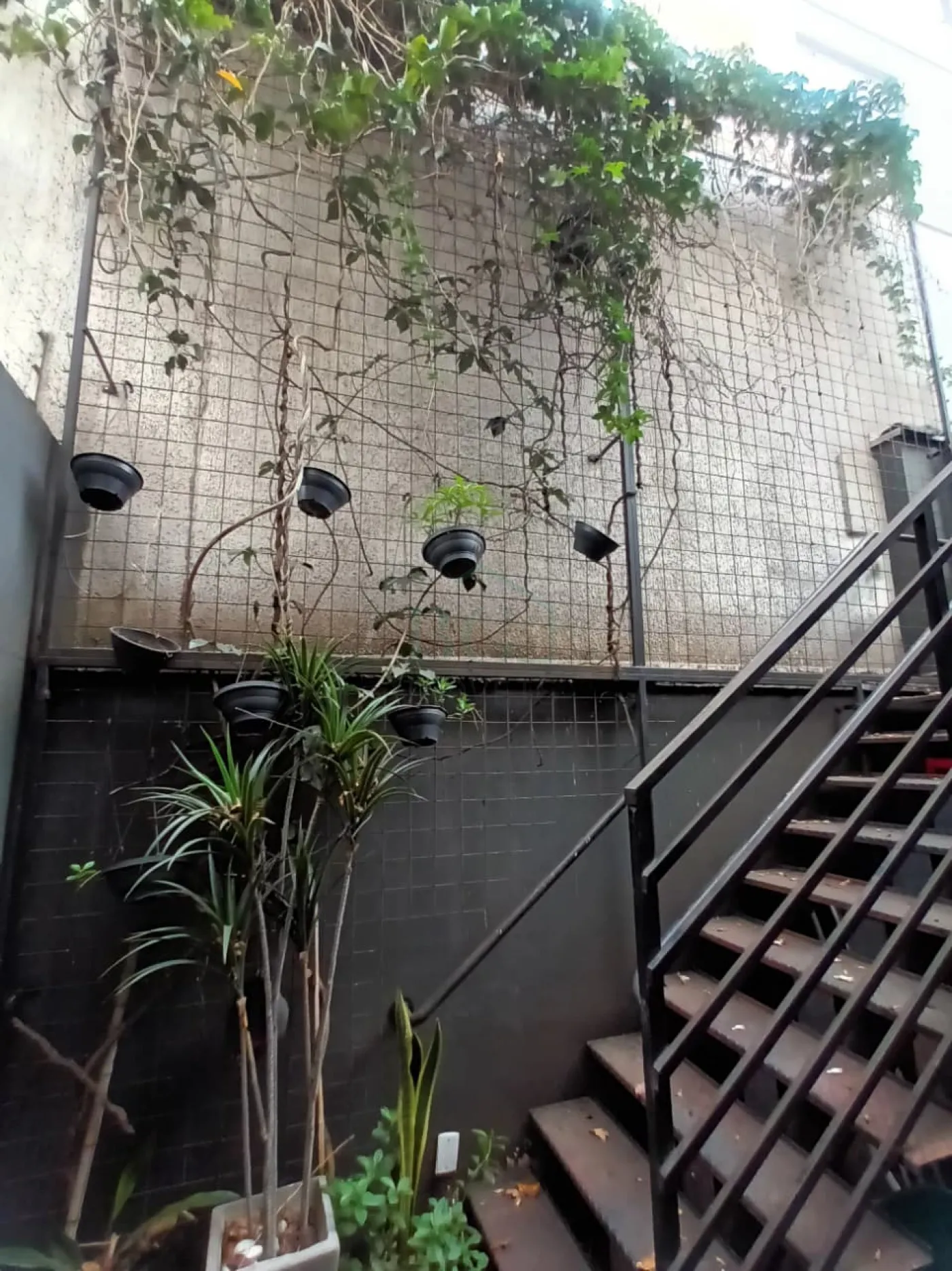 JARDIM DE INVERNO E ESCADA PARA PISO SUPERIOR Comprar Comercial / Padrão em Poços de Caldas R$ 130.000,00 - Foto 10