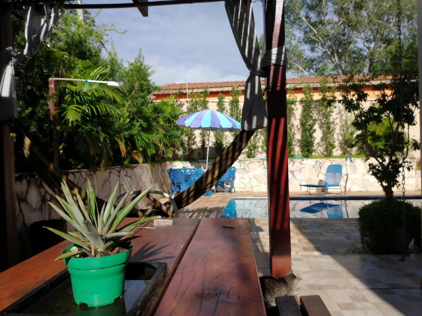 Comprar Rurais / Sítio em Poços de Caldas R$ 800.000,00 - Foto 16