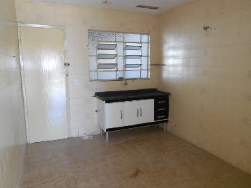 imagem 5 - Casas - Padrão imagem 5 - Casas - Padrão