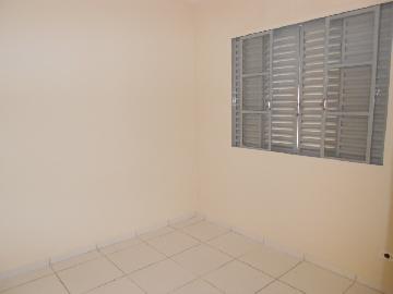 imagem 4 - Casas - Padrão imagem 4 - Casas - Padrão