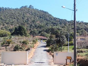 Pocos de Caldas Bortolan Chacara Venda R$7.000.000,00 