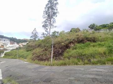imagem 4 - Terrenos - Padrão imagem 4 - Terrenos - Padrão