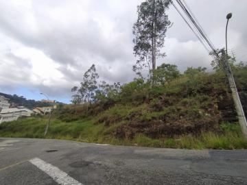 imagem 2 - Terrenos - Padrão imagem 2 - Terrenos - Padrão
