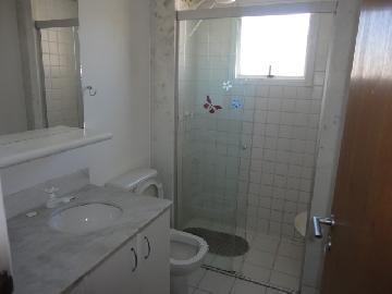 imagem 5 - Apartamentos - Padrão imagem 5 - Apartamentos - Padrão