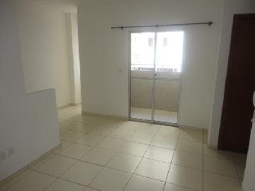 imagem 2 - Apartamentos - Padrão imagem 2 - Apartamentos - Padrão