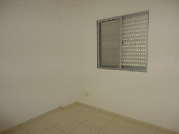 imagem 5 - Apartamentos - Padrão imagem 5 - Apartamentos - Padrão