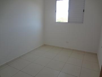 Alugar Apartamentos / Padrão em Poços de Caldas R$ 600,00 - Foto 7 Alugar Apartamentos / Padrão em Poços de Caldas R$ 600,00 - Foto 7