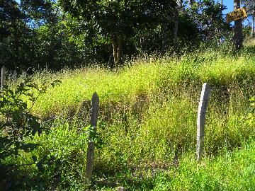 Alugar Terrenos / Padrão em Poços de Caldas. apenas R$ 160.000,00