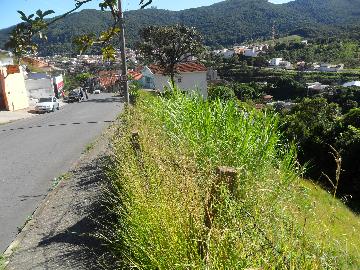 imagem 2 - Terrenos - Padrão imagem 2 - Terrenos - Padrão