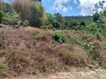 imagem 2 - Terreno comercial imagem 2 - Terreno comercial