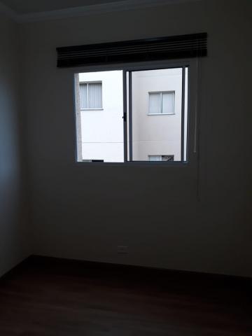imagem 2 - Apartamentos - Padrão imagem 2 - Apartamentos - Padrão
