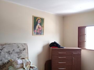 imagem 5 - Apartamentos - Padrão imagem 5 - Apartamentos - Padrão