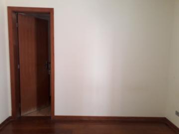 imagem 4 - Apartamentos - Padrão imagem 4 - Apartamentos - Padrão