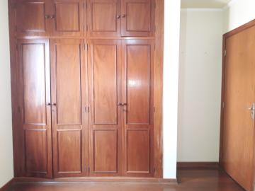 imagem 5 - Apartamentos - Padrão imagem 5 - Apartamentos - Padrão