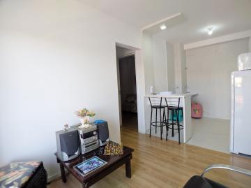 imagem 3 - Apartamentos - Padrão imagem 3 - Apartamentos - Padrão