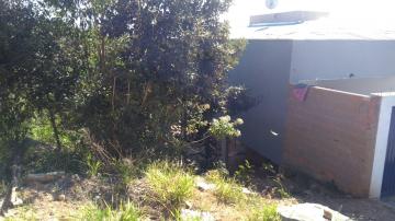 imagem 2 - Terrenos - Padrão imagem 2 - Terrenos - Padrão