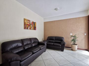 imagem 2 - Apartamentos - Padrão imagem 2 - Apartamentos - Padrão