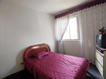 imagem 5 - Apartamentos - Padrão imagem 5 - Apartamentos - Padrão