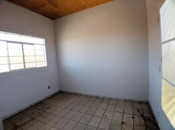 imagem 5 - Casas - Padrão imagem 5 - Casas - Padrão