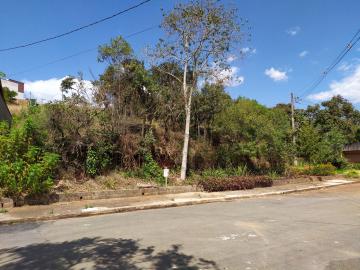 imagem 3 - Terrenos - Padrão imagem 3 - Terrenos - Padrão