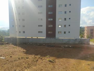 imagem 3 - LOTE imagem 3 - LOTE