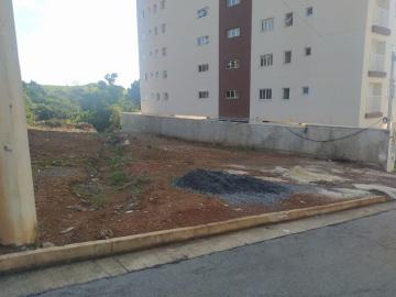 imagem 4 - LOTE imagem 4 - LOTE